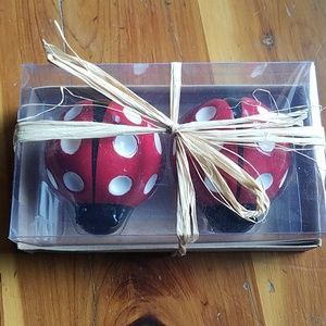 Ladybug salt and pepper shakers